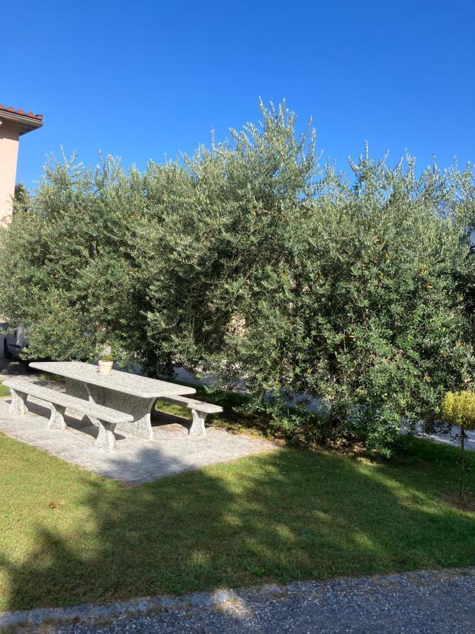 Residenza Giovanni Contone Exteriör bild